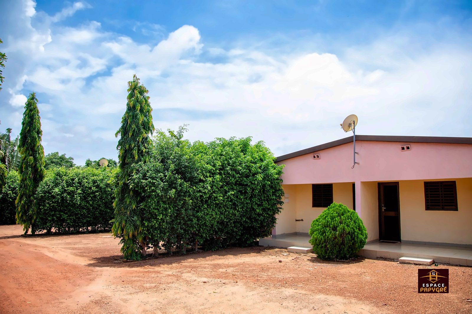 Bungalow et haies vertes