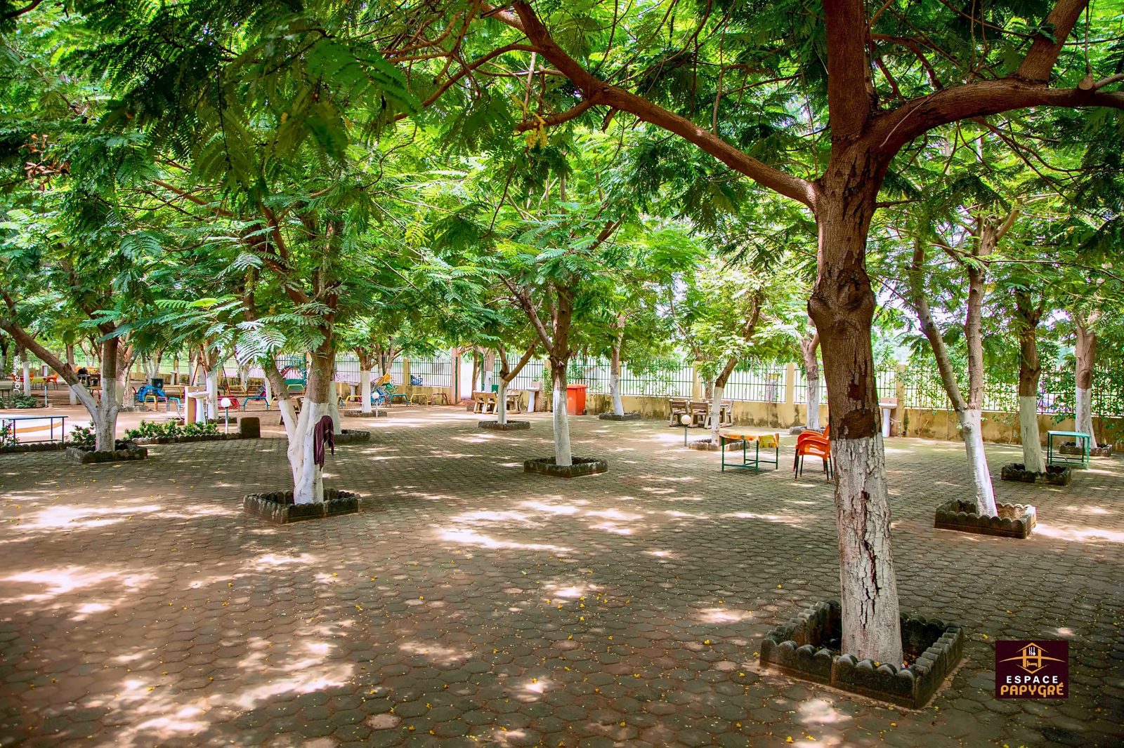 Cour ombragée sous les flamboyants